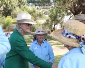 er Excellency the Honourable Sam Mostyn AC